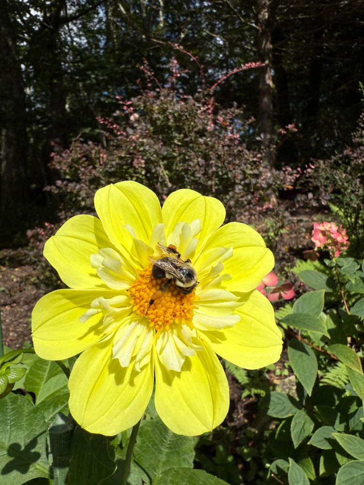 All Photos for Sustainable Property Services in Banner Elk, NC