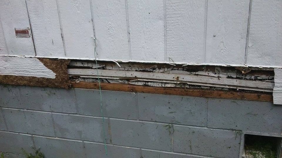 All Photos for Home Pros in Maple Falls, WA