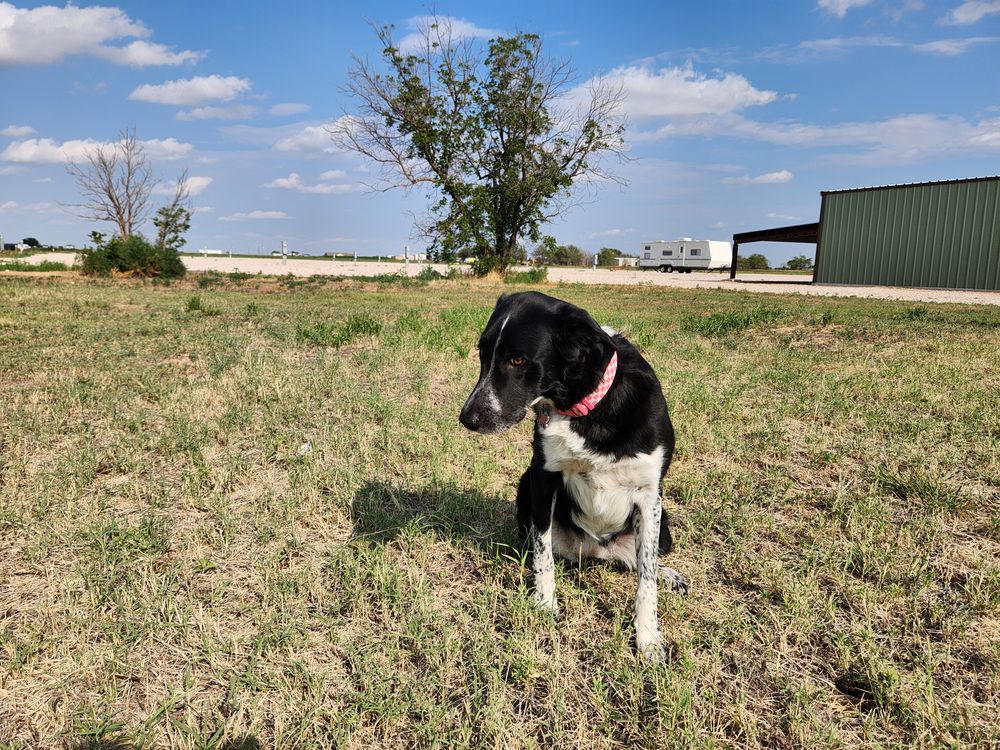 All Photos for Prairie Land Properties LLC in Lubbock, TX