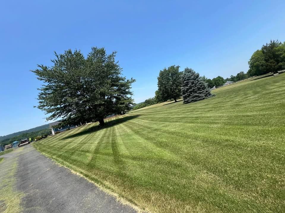 Our mowing service ensures a pristine, well-manicured lawn that enhances your home's curb appeal. Trust our professional team for consistent, reliable care that keeps your yard looking vibrant and healthy all season long. for Ridgewood Lawn Care LLC in Fredericksburg, VA