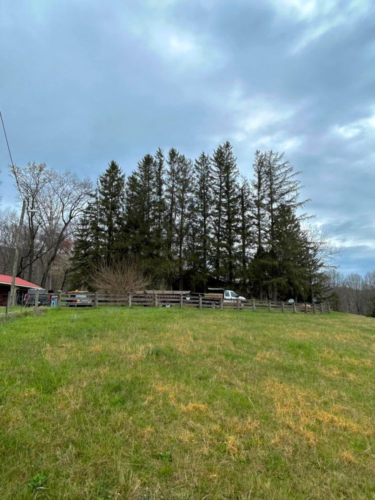 All Photos for NRV Tree Pro, LLC in Narrows, VA