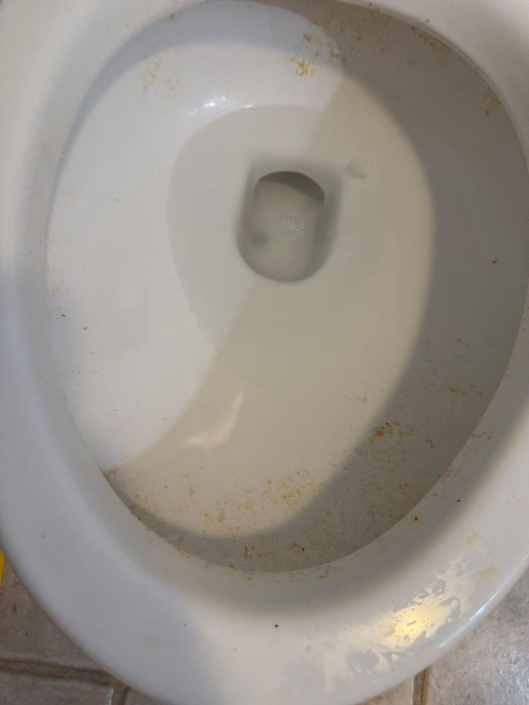 All Photos for A+ Cleaning and Services LLC in Deep Creek Lake, MD 