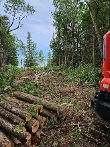 All Photos for T & T Excavating and Property Services in Presque Isle County, MI