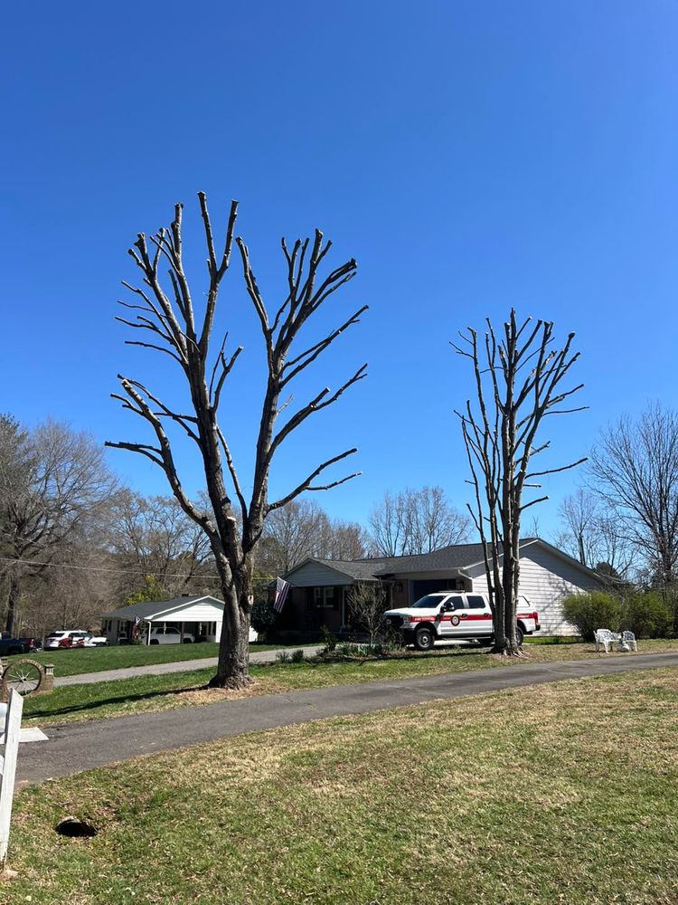 All Photos for Brooks Tree Service in Casar, NC