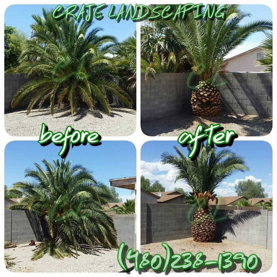 All Photos for CRAJE Landscaping LLC in Mesa, AZ