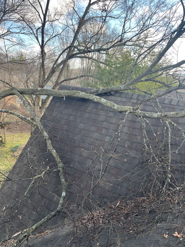 All Photos for T&T Lot Works in Kingston Springs, TN
