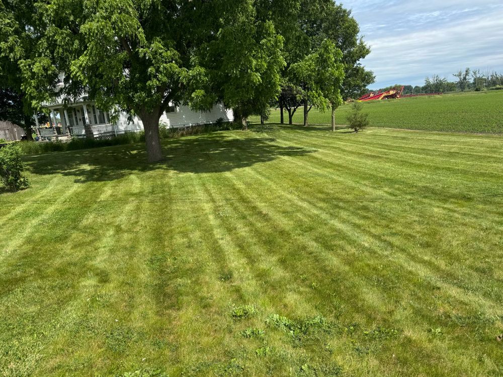 All Photos for Daugherty's Tough Lawn Care in Essexville, MI