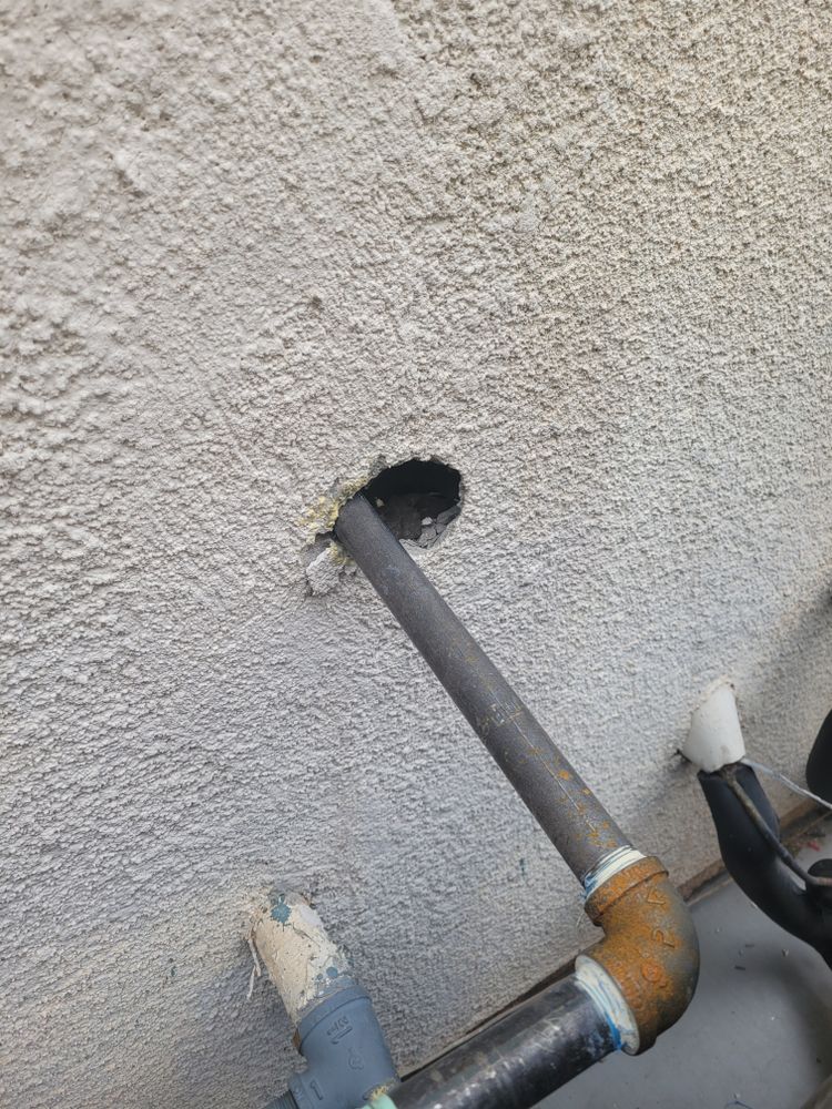 All Photos for Niko's Pest Control in Las Vegas, NV