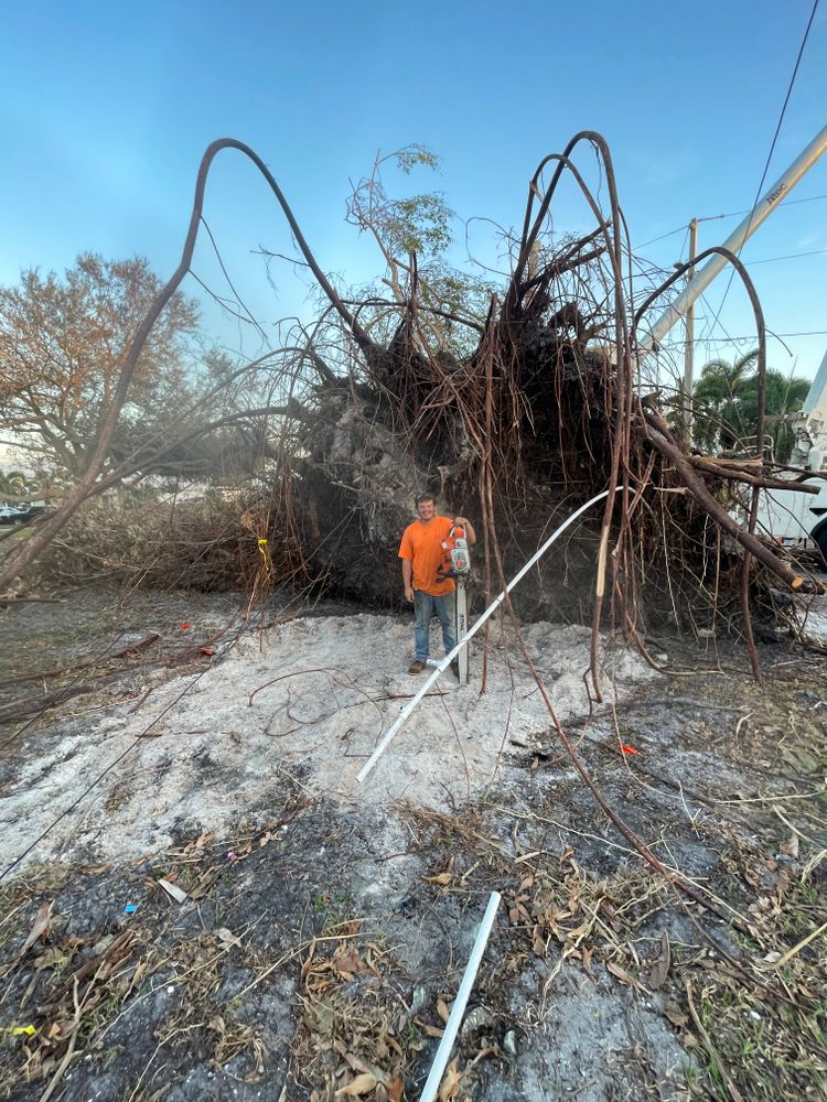 All Photos for Lucky’s Tree Removal and Landscape Services in Knoxville, TN