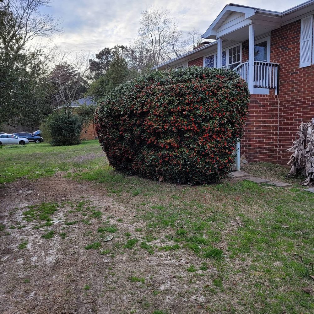 All Photos for Zepeda's Mowing in Fort Valley, GA