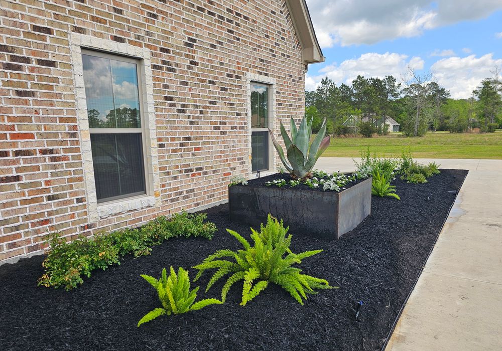 Landscaping for Bruno's Professional Lawn's & Landscape in Beaumont, TX