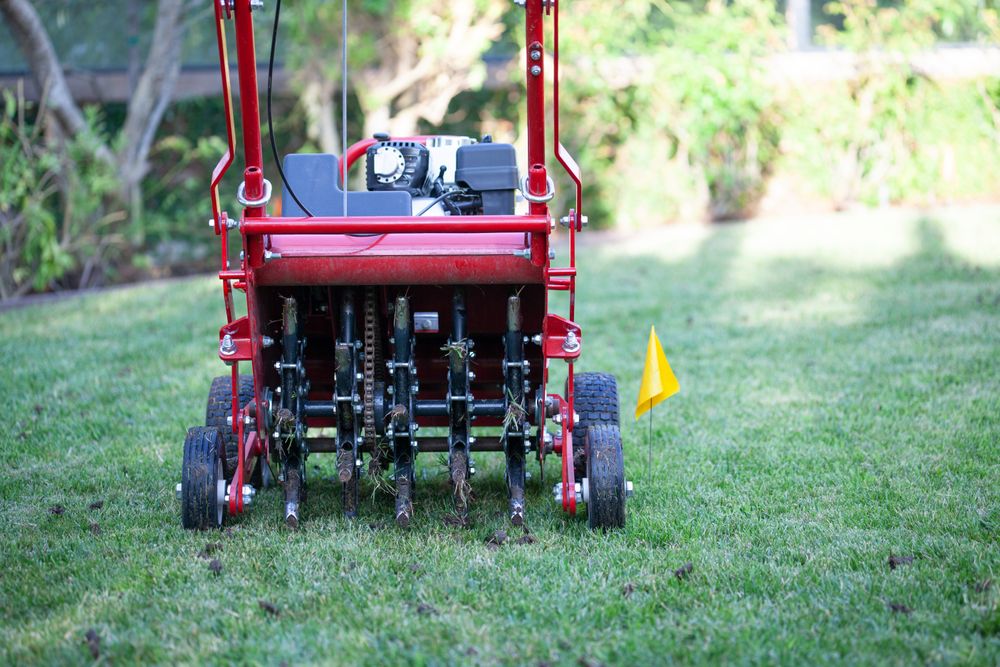 Our Lawn Aeration service improves soil structure, encourages healthy root growth, and enhances water absorption for greener, lusher grass. Let us boost your lawn's health and appearance today! for NGL Landscape Company in Denver, CO