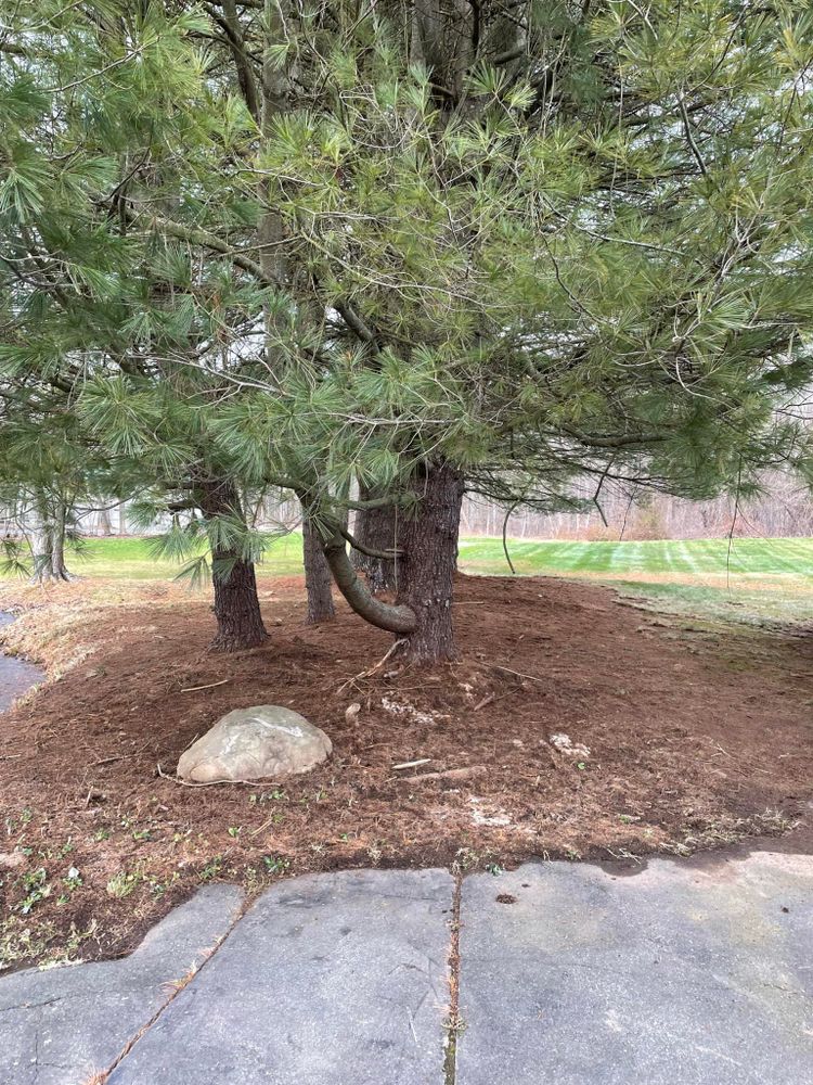 Full Landscape Redesign for Blades of Glory LLC in Cheshire, CT