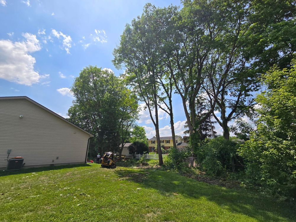 All Photos for F & F Tree Service in Beavercreek, OH