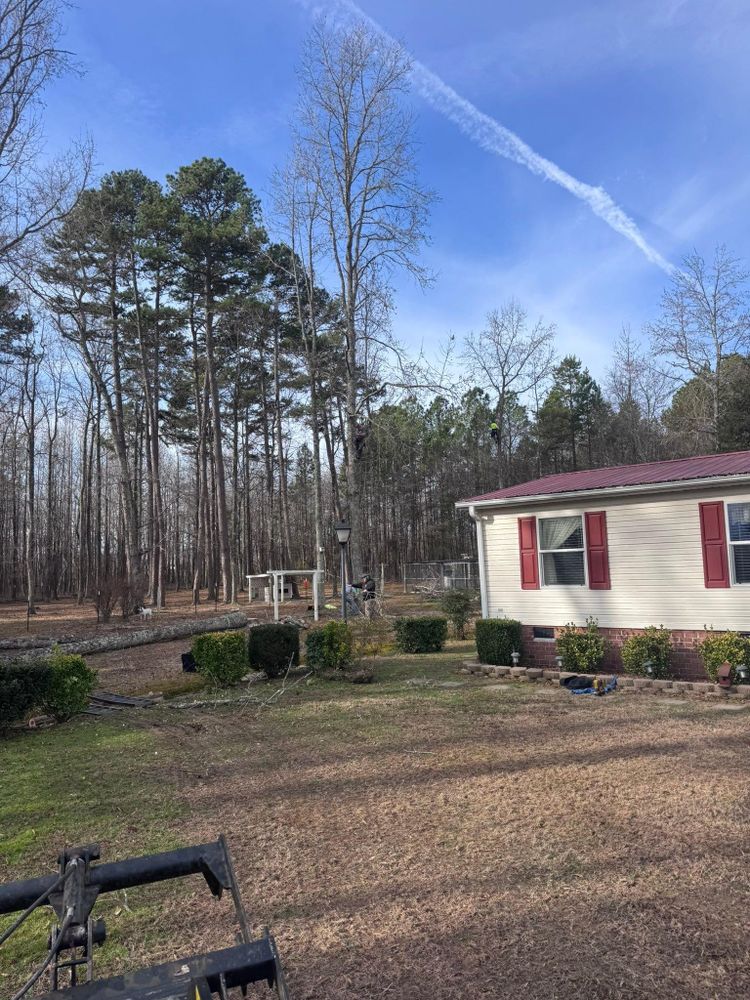 All Photos for Diversified Tree Company in Trinity, NC