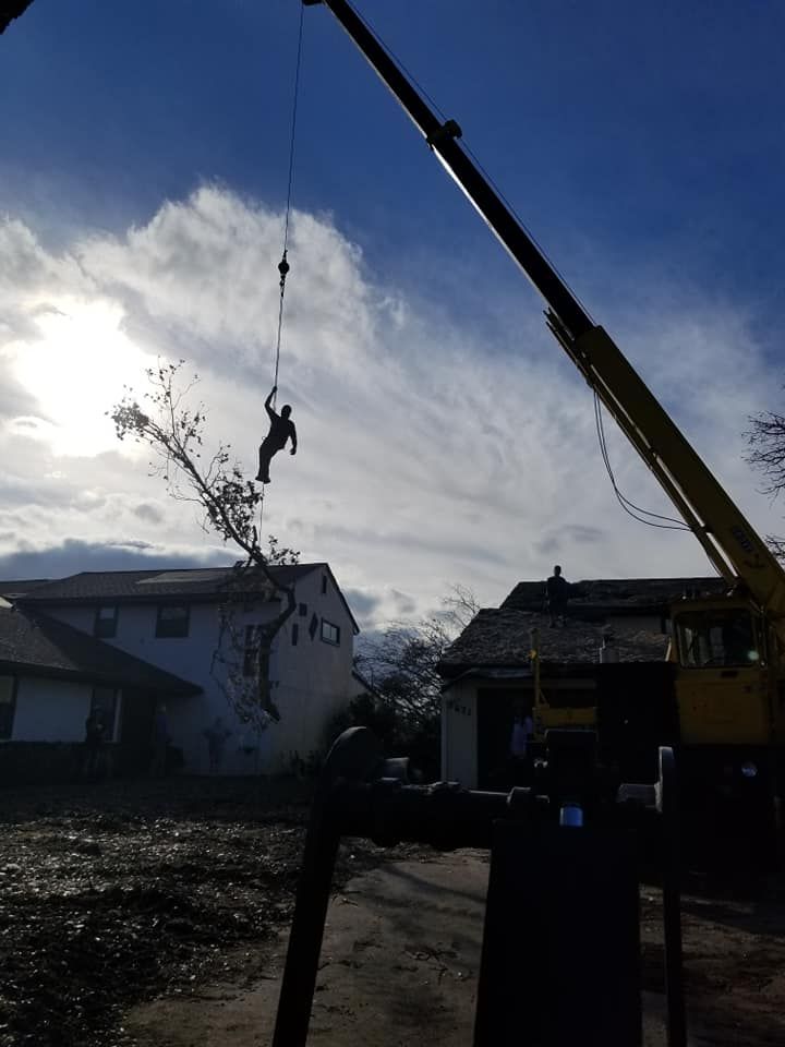 Tree Removal for Spruce Creek Tree Service in Port Orange, FL