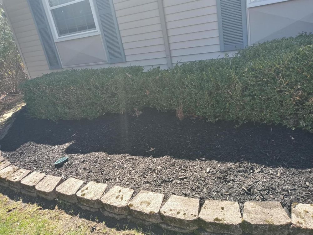 All Photos for Mow Pros in Westland, MI