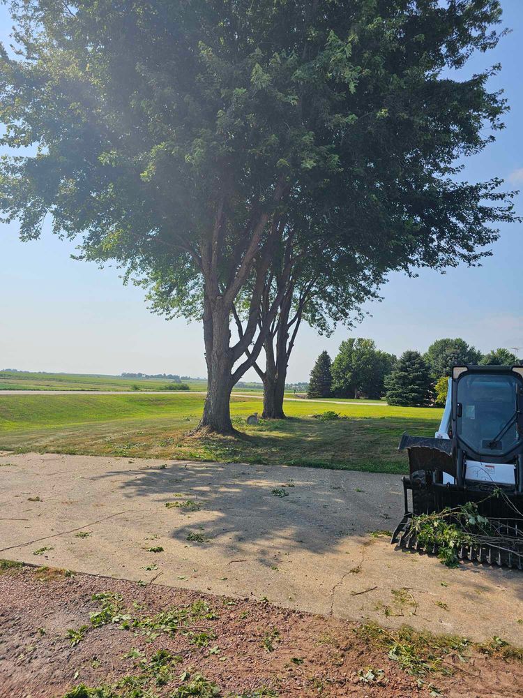 Tree Removal for Tree Tech in Luverne, MN