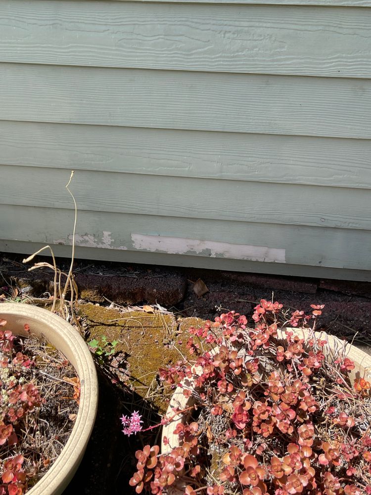 All Photos for Tony's Remodeling & Painting in Renton, WA