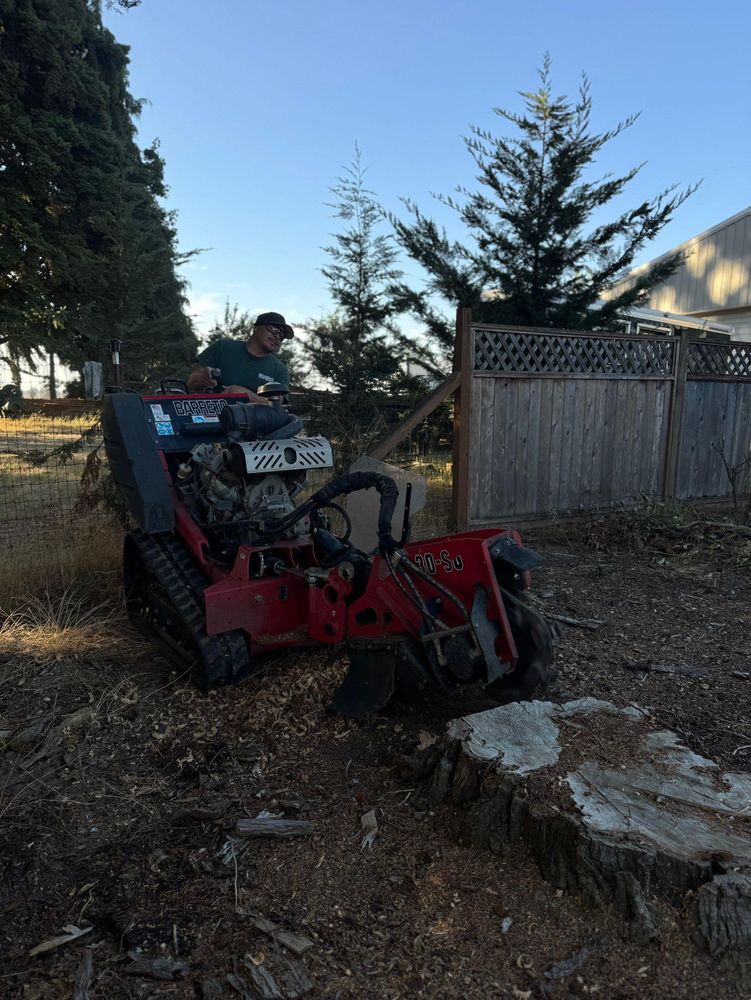 All Photos for Willamette Landscaping and Tree Services in Albany, OR