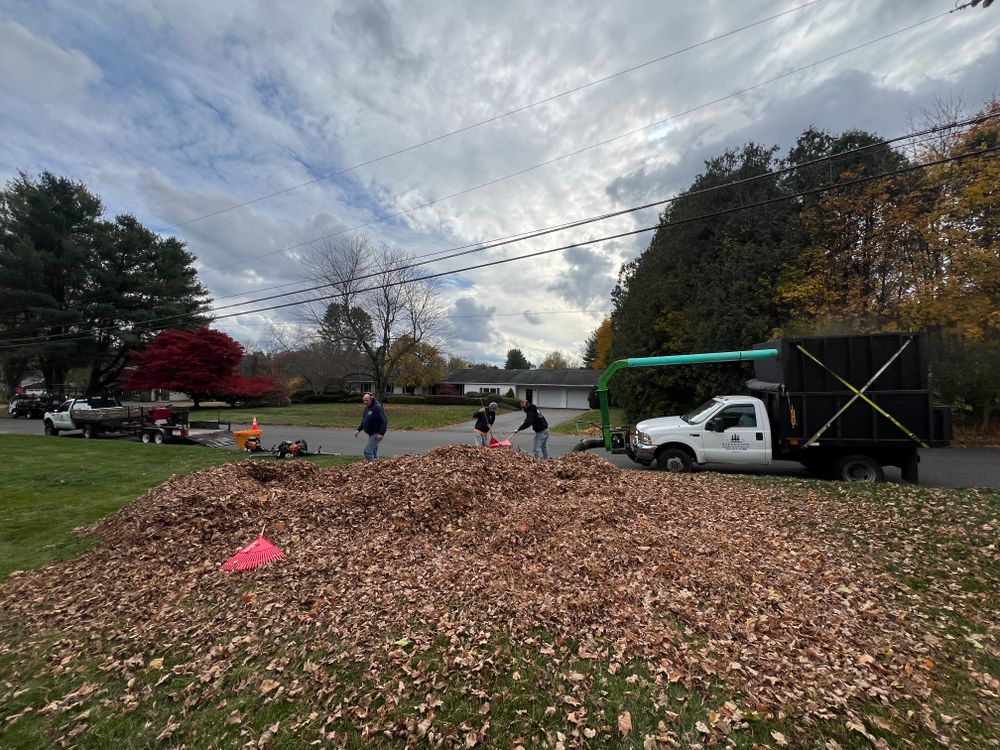 Seasonal Clean Ups for Stevenson Property Maintenance in Cheshire, CT