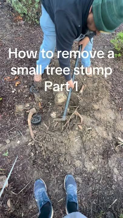 All Photos for Aidan Jade Landscaping in Riverside County, CA