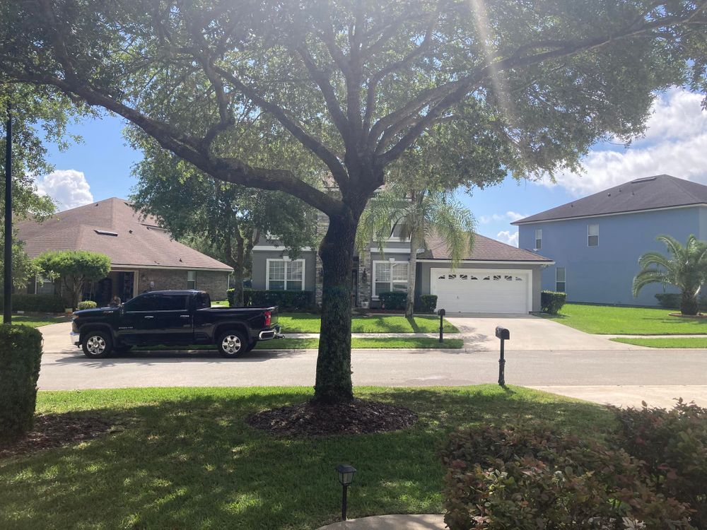 Tree Removal for Top Notch Tree Experts in Orange Park, FL