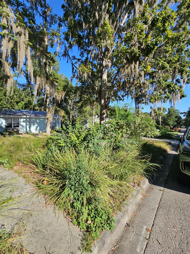 All Photos for Deeper Roots Landscape in High Springs, FL