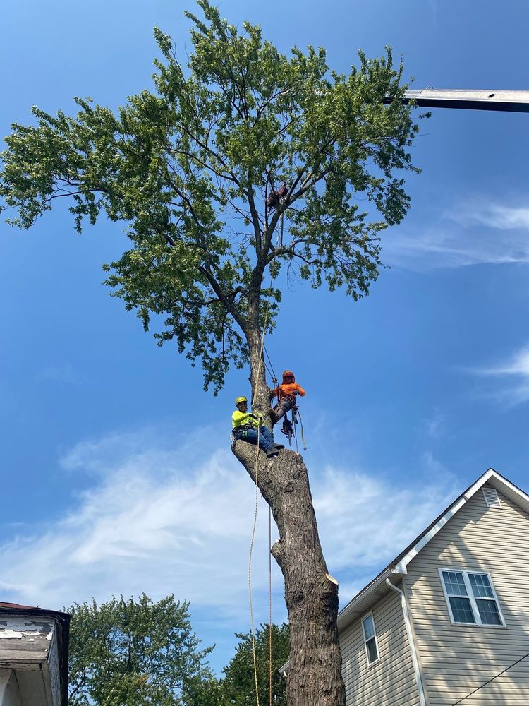 Trio Tree Services team in Ocean Park, WA - people or person