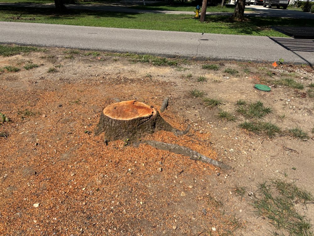 All Photos for Conrad's Stump Removal in Columbus, IN