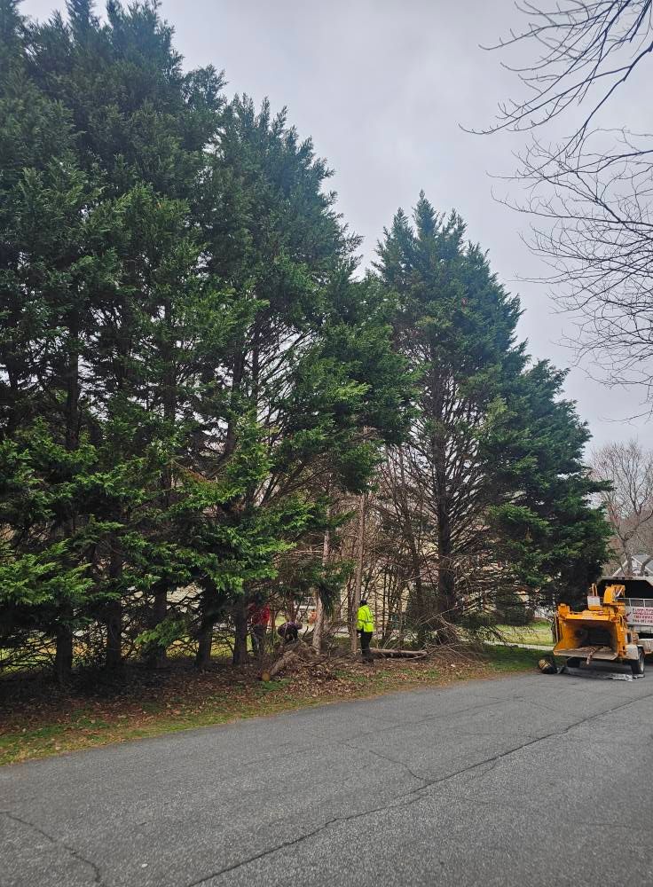 24/7 Storm Response for Sasquatch Tree Services LLC in Spartanburg, SC