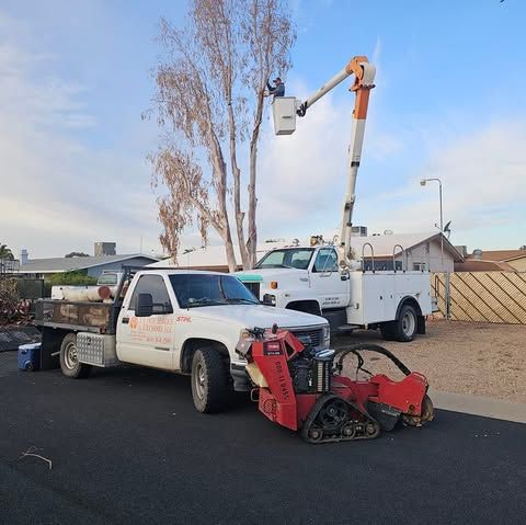 Tree Removal for T's Tree Service and Firewood in Apache Junction, AZ