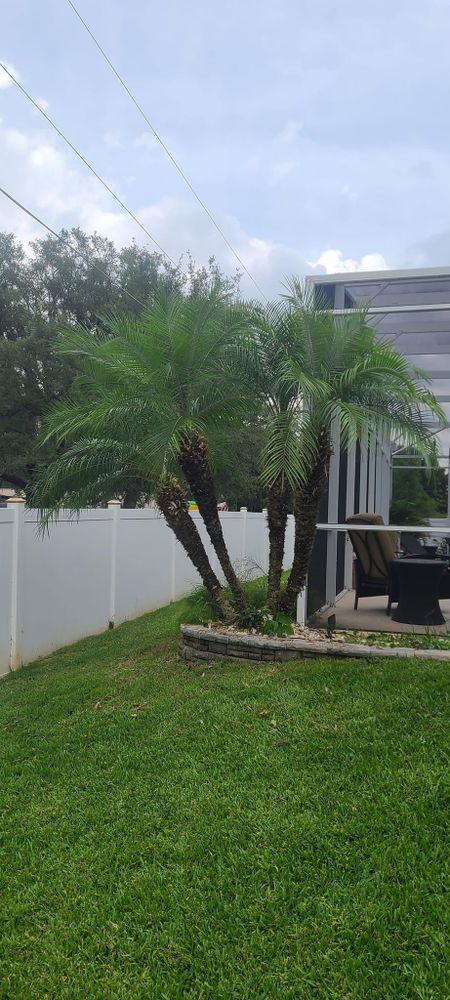 All Photos for TopNotch Landscaping Services  in The Villages, FL