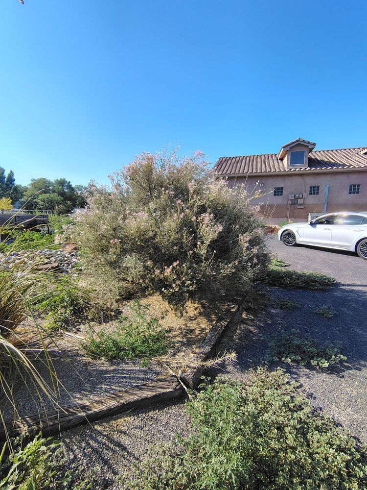 All Photos for 2 Brothers Landscaping in Albuquerque, NM