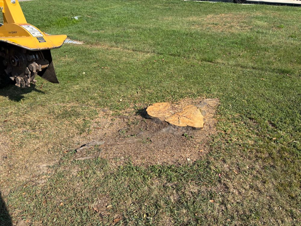 All Photos for Conrad's Stump Removal in Columbus, IN