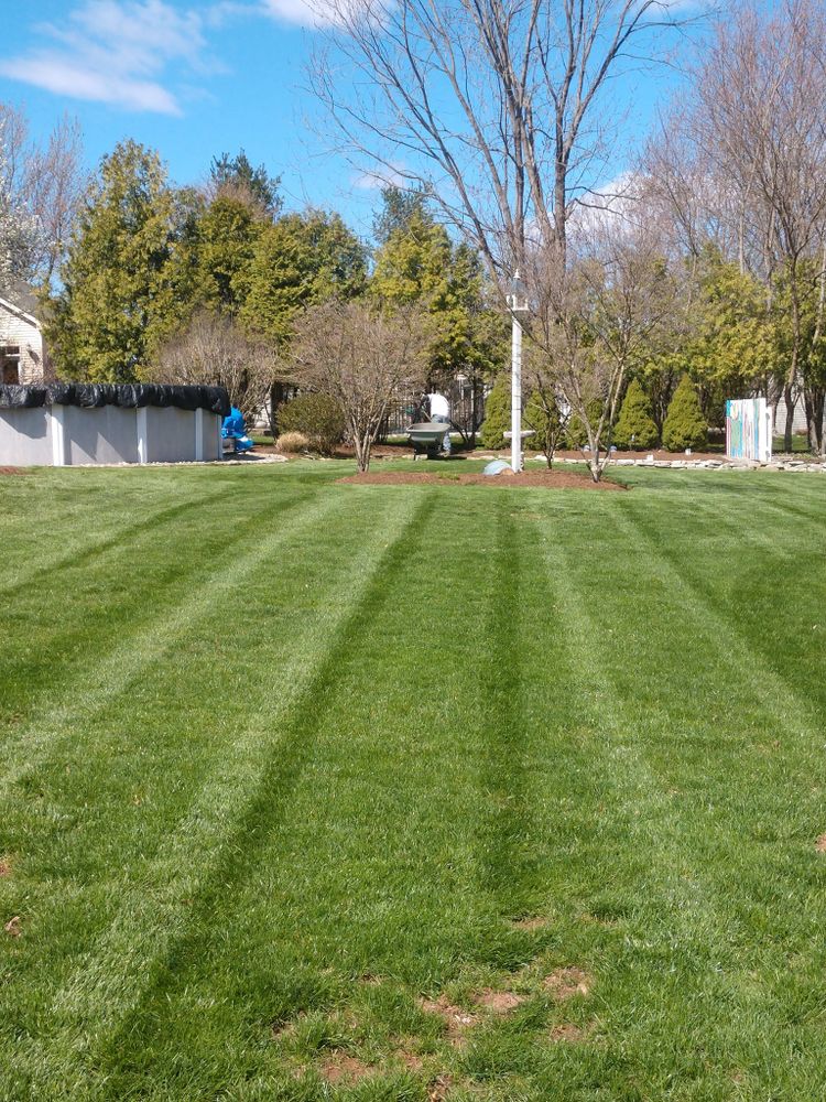 Property Maintenance for Ettere Landscape Services in Flemington, NJ