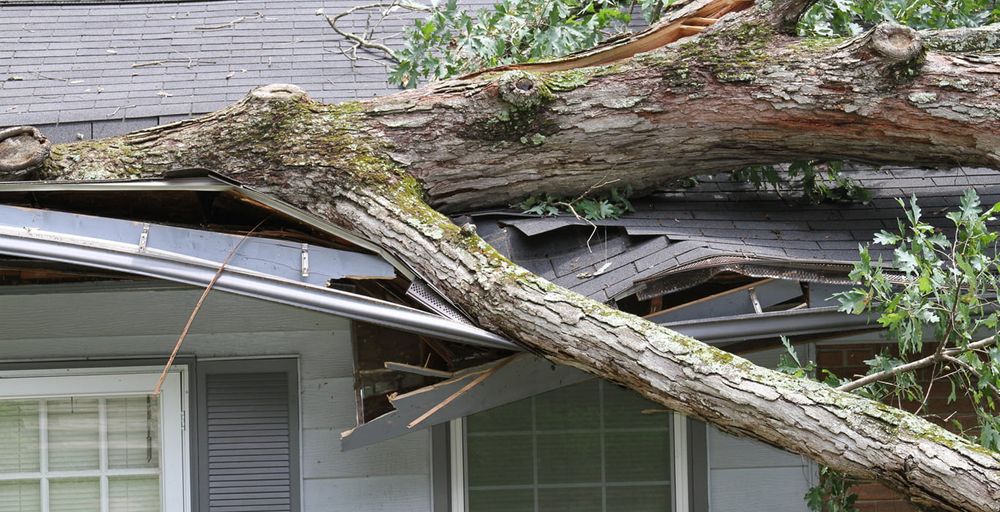 When severe weather strikes, trust our storm damage restoration services in Vermont and New Hampshire. We provide fast, professional cleanup and repair for homes and businesses affected by wind, rain, or hail.

Looking for “storm cleanup near me”? Our experts in Springfield VT, Claremont NH, and surrounding areas are ready 24/7 to restore your property quickly and safely. for First Response Reconstruction LLC in Windsor County, VT
