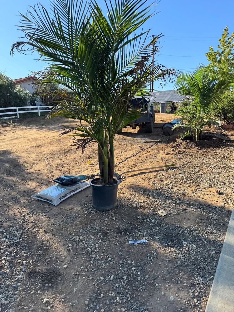 All Photos for Herreras Land Service in San Diego, CA