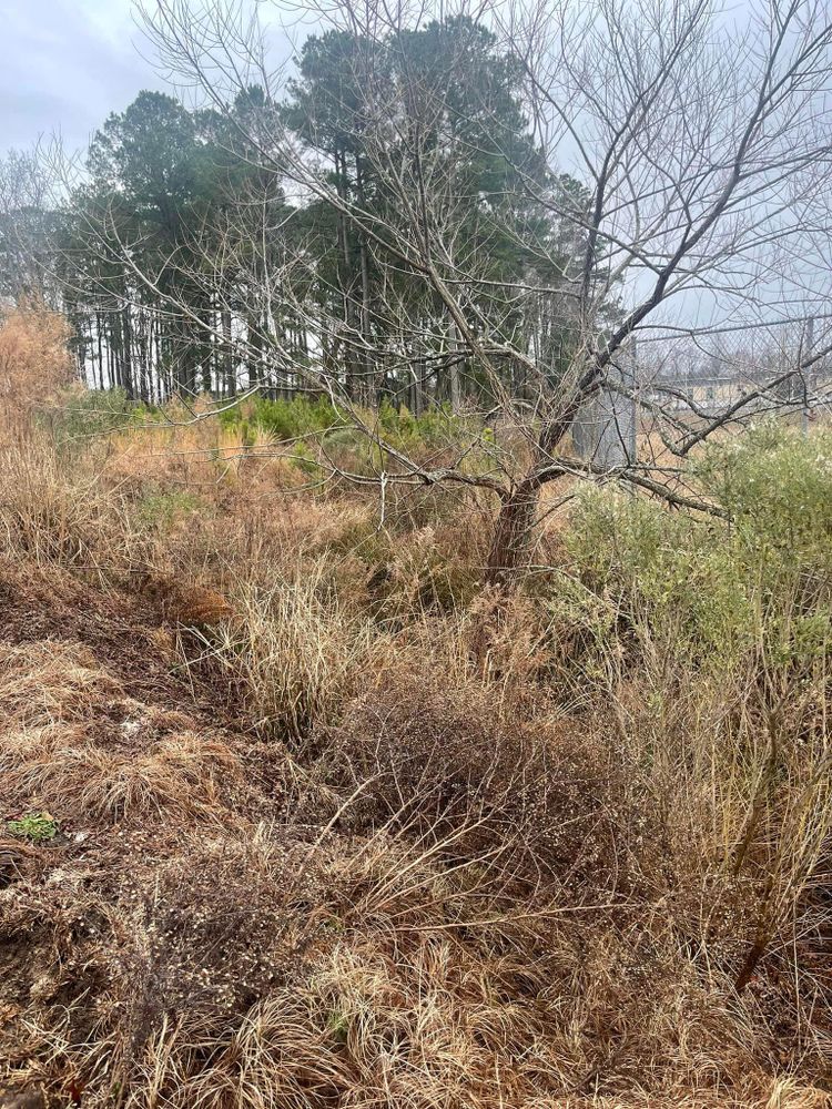 Land Clearing  for Cortez Construction SC, LLC in Conway, SC