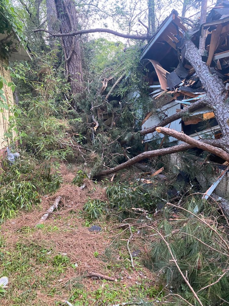 All Photos for Action Tree & Debris Removal in Jackson,  MS
