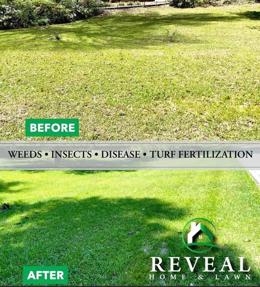 Enhance your lawn's beauty with our expert weed control service, targeting unwanted plants and promoting healthy grass growth. Trust us to keep your yard weed-free and pristine all year long. for Reveal Home & Lawn in Brunswick, GA