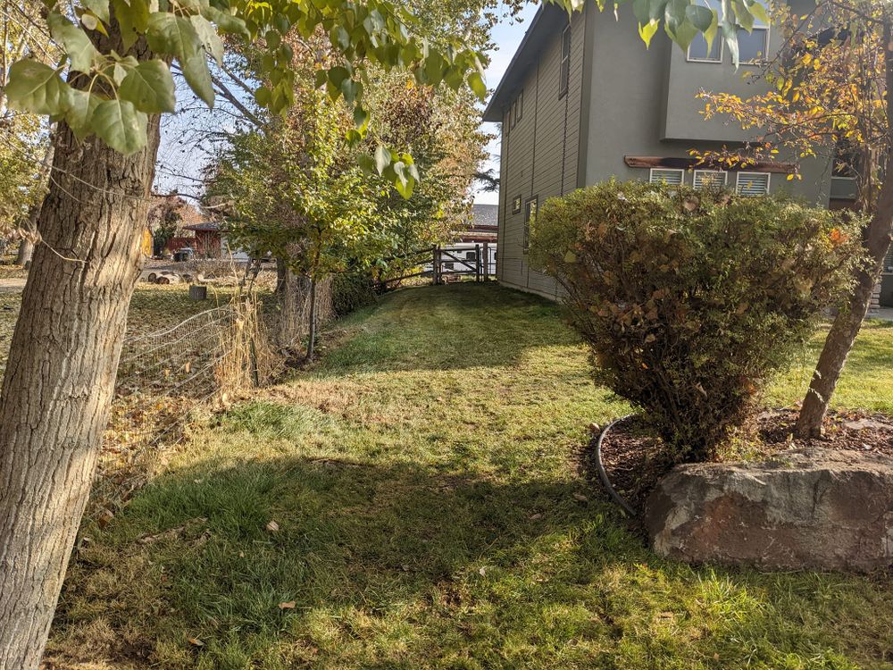 Mowing for Silvercut Lawncare in Star, ID