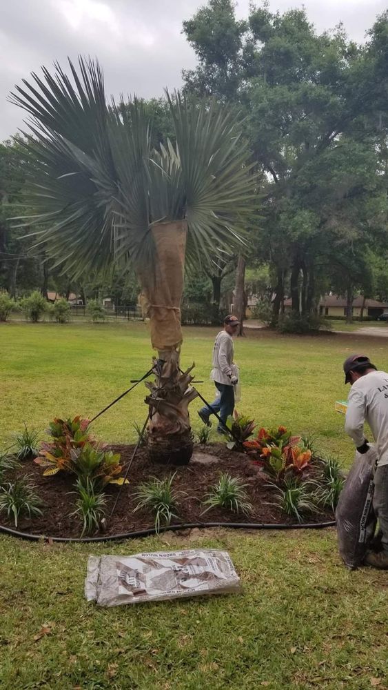 Landscaping for Tezna Landscaping, Trees & Pavers in Valrico, FL