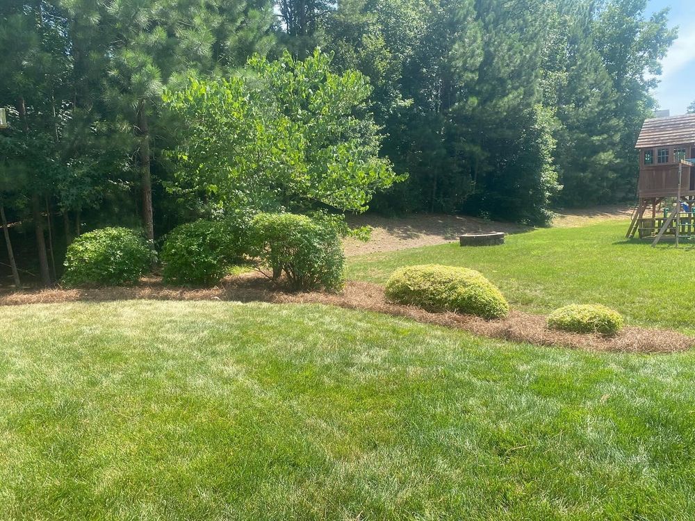 Mulching for America's Top Pick Lawn & Landscaping in Gastonia, NC