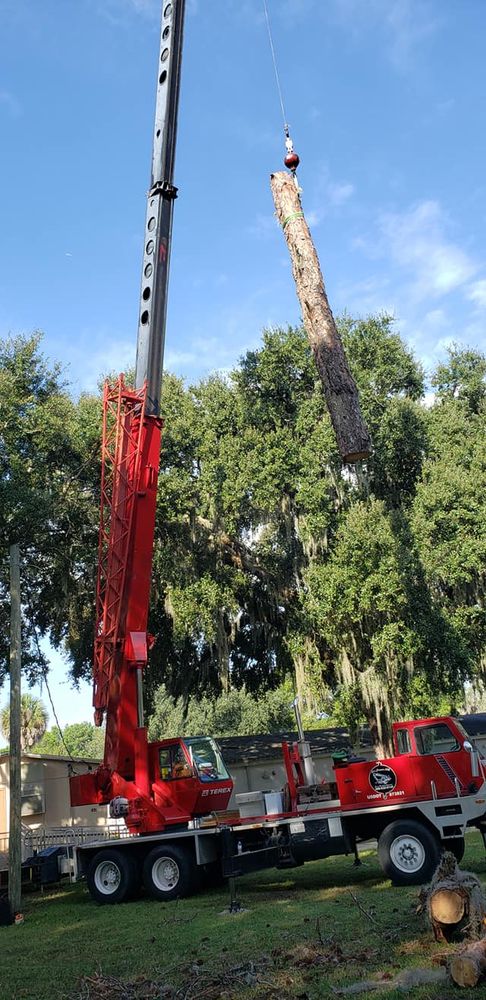 Tree Removal for Daniel Hickey’s Tree Service in DeLand, FL