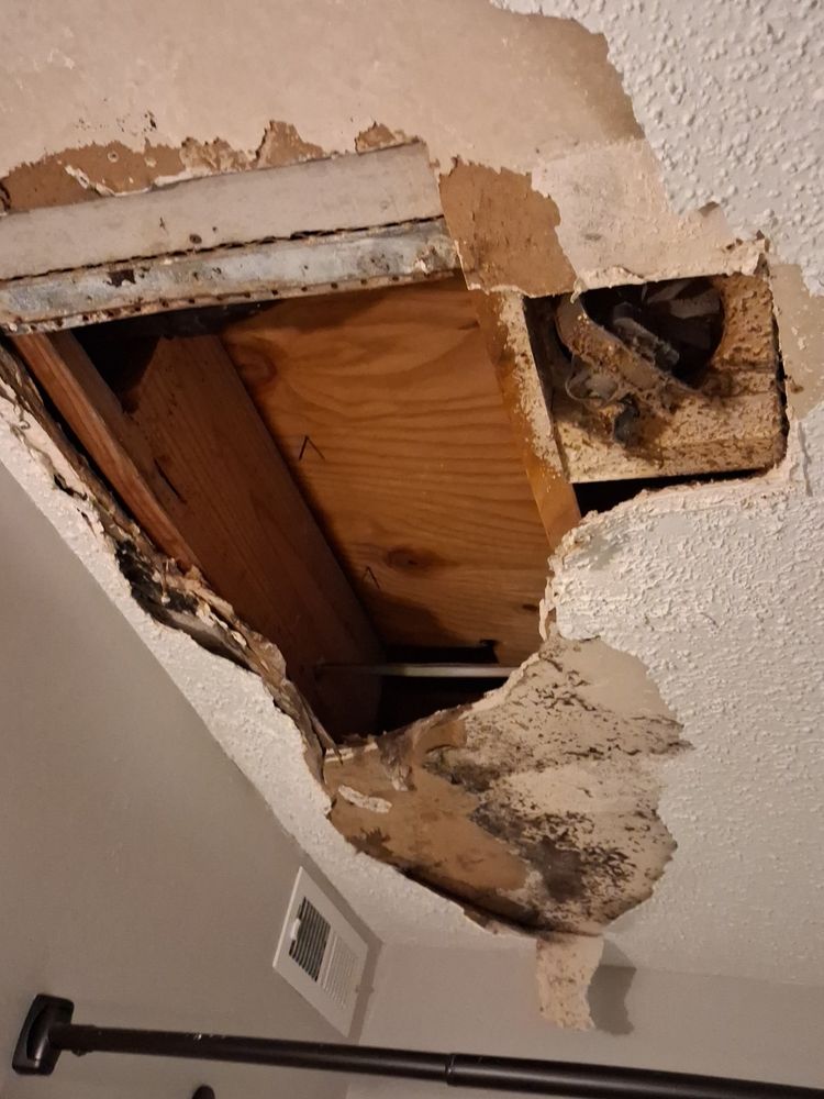 All Photos for Raw Paintings, Sheetrock Repairs and Cleaning in Columbia, SC