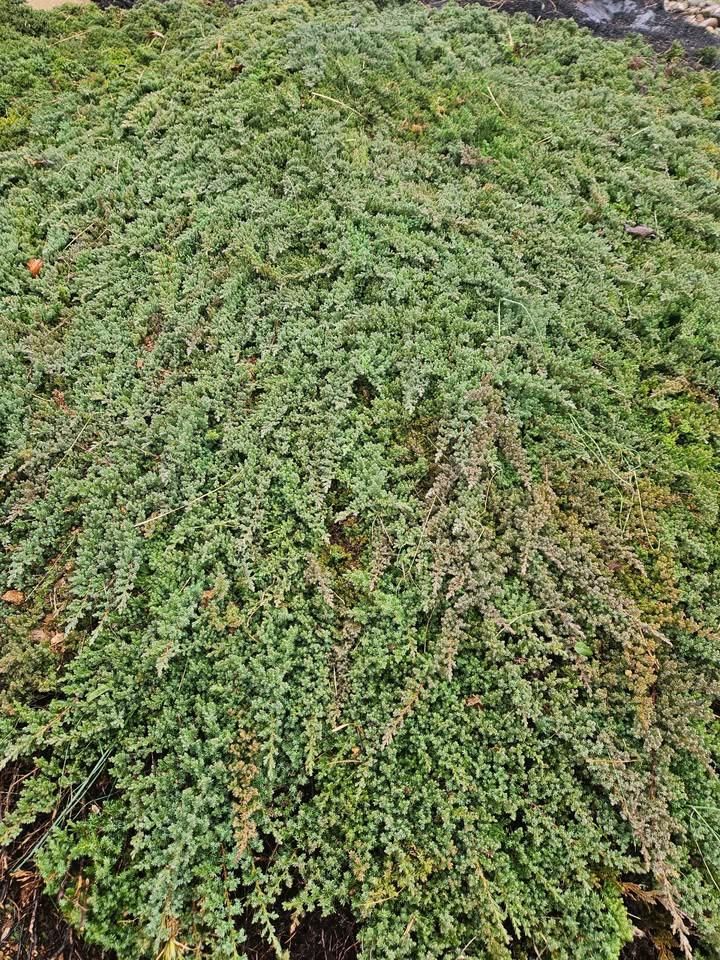 All Photos for S&M DIRT TECH LLC in Knoxville, TN