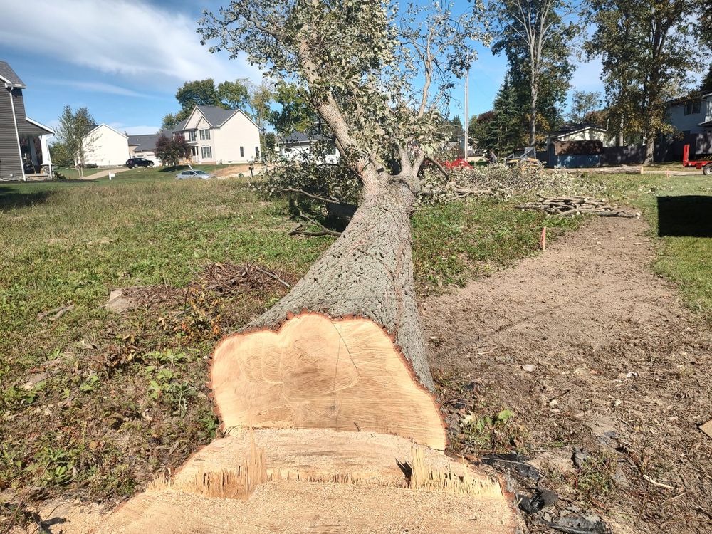 Tree Removal for Billiter's Tree Service, LLC in Rootstown, Ohio