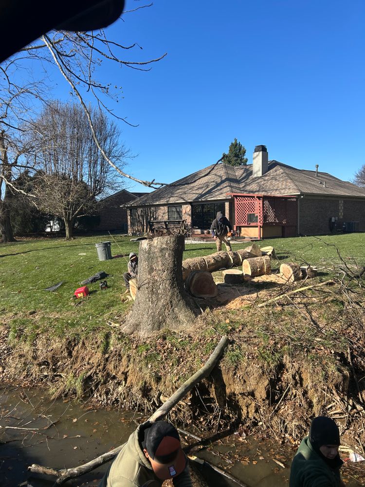 All Photos for Optimum Tree Service And Landscaping in Bowling Green, KY