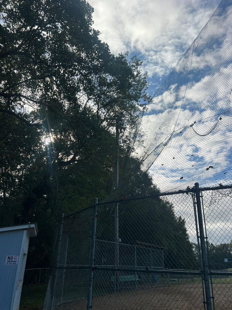 All Photos for Brooks Tree Service, LLC in Casar, NC